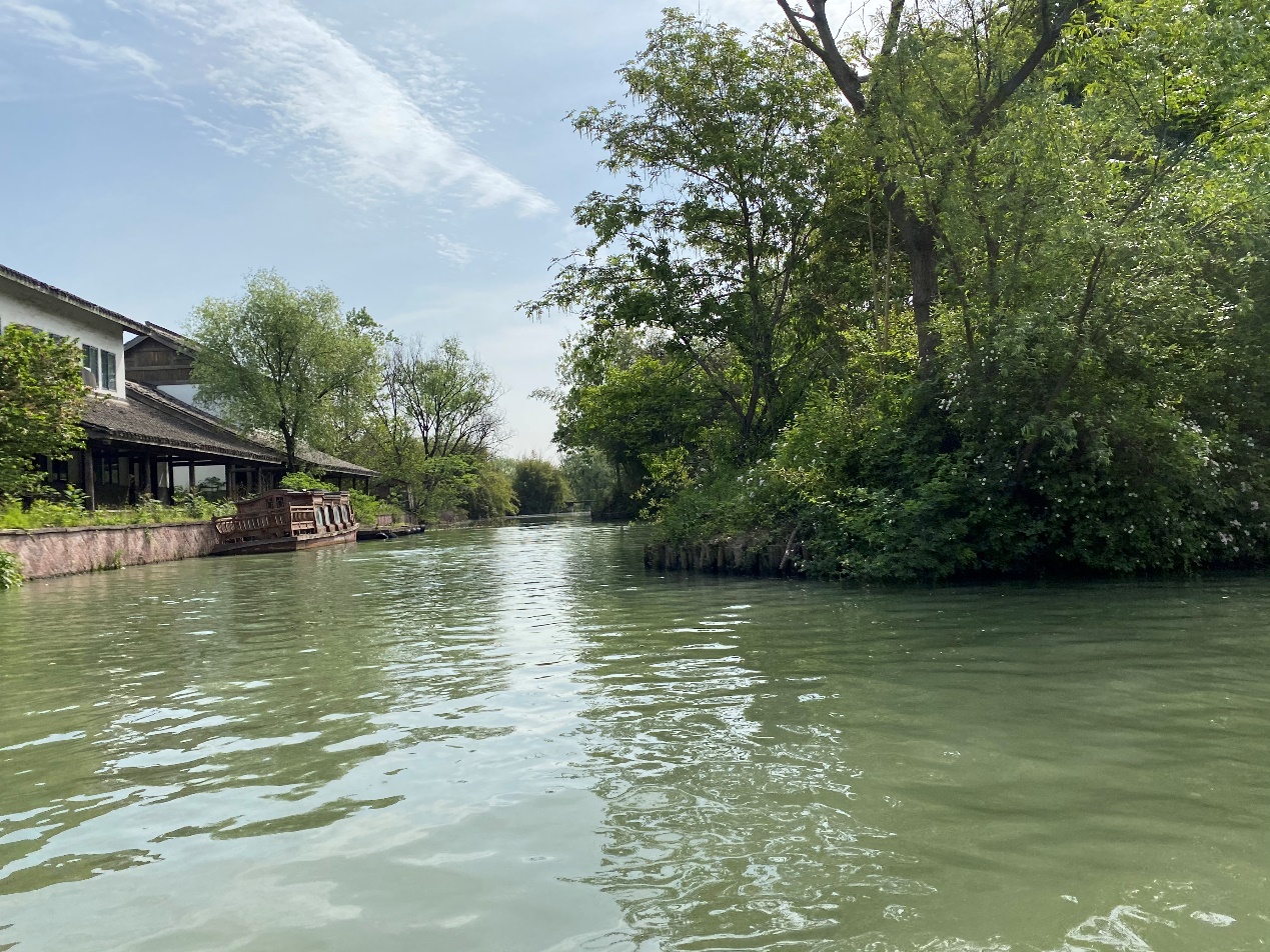 C:\Users\chjin\Desktop\宋城、西溪照片\西溪9.jpg
